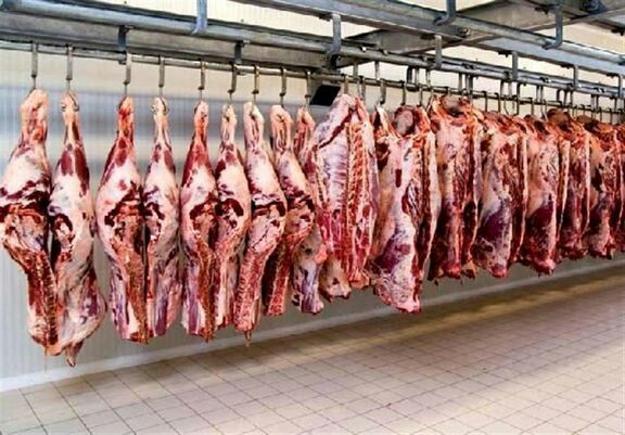 توزیع گوشت منجمد تنظیم بازار در ایلام