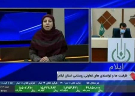 ظرفیت‌های روستایی استان پتانسیلی ارزشمند است