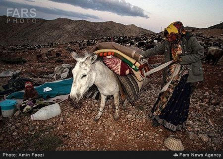 کوچ بهاره عشایر استان ایلام از ۱۵ فرودین آغاز می شود