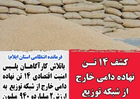 کشف ۱۴ تن نهاده دامی قاچاق در ایلام!