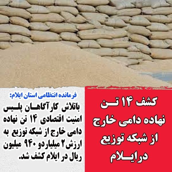 کشف ۱۴ تن نهاده دامی قاچاق در ایلام!