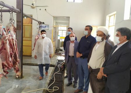 تحویل و اهدای ۱۱۰۰ رأس دام قربانی به قربانگاههای استان ایلام