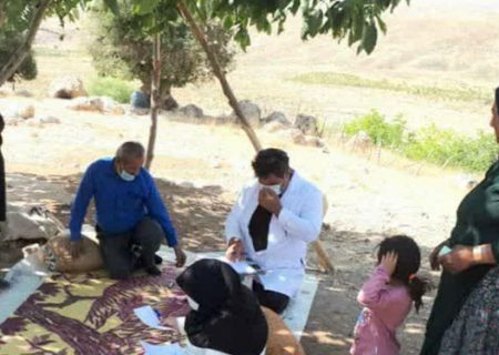 :تعداد عشایر بالای ۱۸ سال استان ایلام ۴۰ هزار نفر است