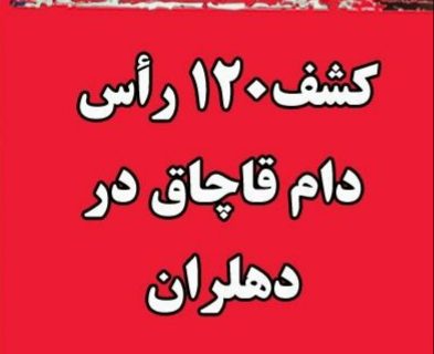 کشف ۱۲۰ راس احشام قاچاق در دهلران
