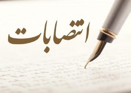 حیای گربه کجا رفته؟!؟