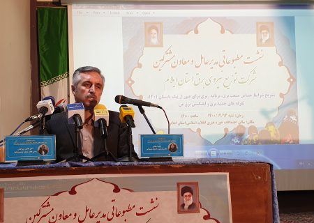 ۸۲ درصد از مشترکین استان خانگی هستند