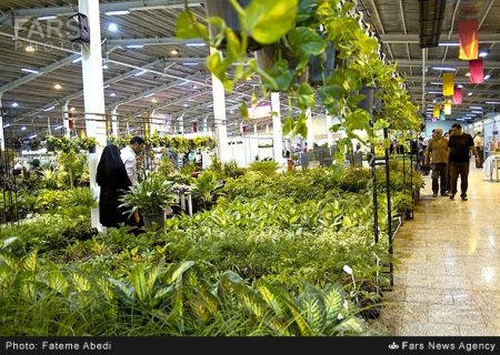 ایجاد فضای نشاط برای شهروندان از اهداف نمایشگاه گل وگیاه است