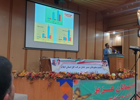 در هفته دولت امسال ۵۳ پروژه گازرسانی در ایلام افتتاح و کلنگ‌زنی می شود