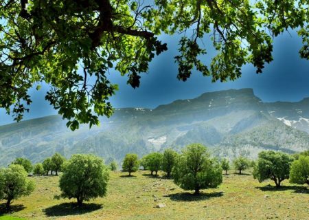 طبیعت ایلام در بهار ۱۴۰۳