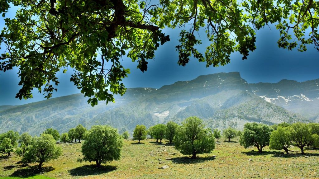 طبیعت ایلام در بهار ۱۴۰۳