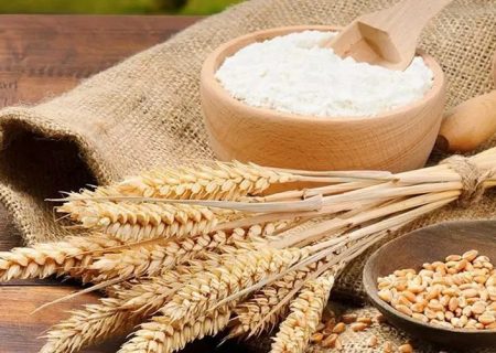 ?محکومیت ۴ میلیاردی عرضه کننده خارج از شبکه آرد یارانه ای در ایلام