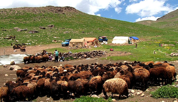 ‍ عشایر ذخایری که نیاز به توجه بیشتری دارند