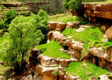 طبیعت ایلام در بهار ۱۴۰۳