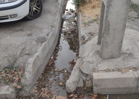 وضعیت بهداشت وانباشت زباله در کوچه های دانش وآزادی ۲