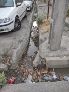  با توجه به فصل گرما و عدم نظارت شهرداری در جمع آوری زباله در اماکن عمومی بدینوسیله آخرین وضعیت بهداشت و انباشت زباله در کوچه های دانش و آزادی ۲(جنب میدان کشوری) علیرغم وجود دو سازمان بهداشتی و ورزشی در محل به شکل فجیع ذیل جهت انعکاس و ارسال به متولیان امر ارسال می‌گردد. از حسن توجه آن رسانه وزین به وضع سلامت شهروندان سپاسگزاریم.  