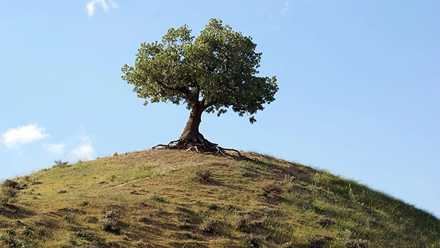 عروس زاگرس، ماتم‌نشین بختی سیاه،