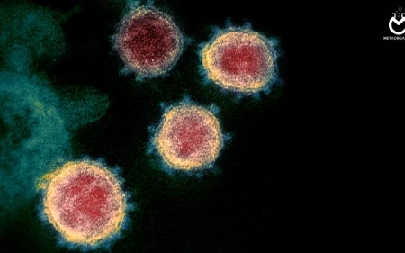 هیچ دلیلی برای تعطیلی مدارس وجود ندارد/ نگرانی‌ها بیشتر روانی است تا پزشکی