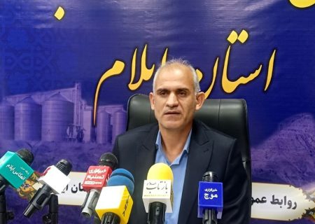 ایلام با تولید مازاد گندم، امنیت غذایی استان را تضمین کرده است