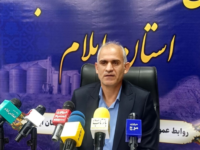 ایلام با تولید مازاد گندم، امنیت غذایی استان را تضمین کرده است