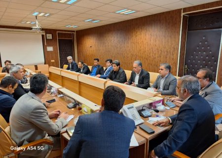 ‍ ‍ تأکید فرماندار ایلام بر بسیج کامل امکانات دستگاه‌ها برای برگزاری انتخابات