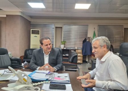 دیدار استاندار ایلام با معاون وزیر صمت