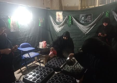 ۶۰ موکب در ایلام به عزاداران خدمات‌رسانی می‌کنند